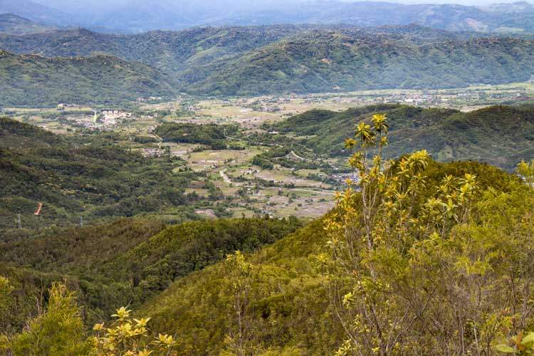 Singgah Menarik di Gunung Wakid iaitu Kolopis