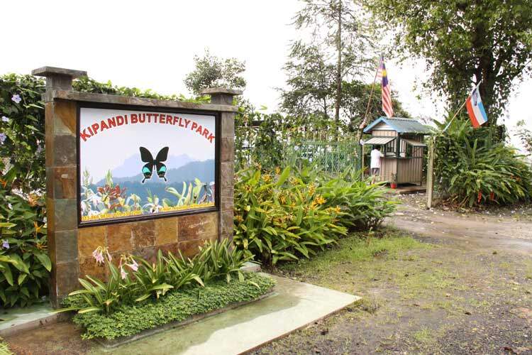 Penginapan-di-Tambunan