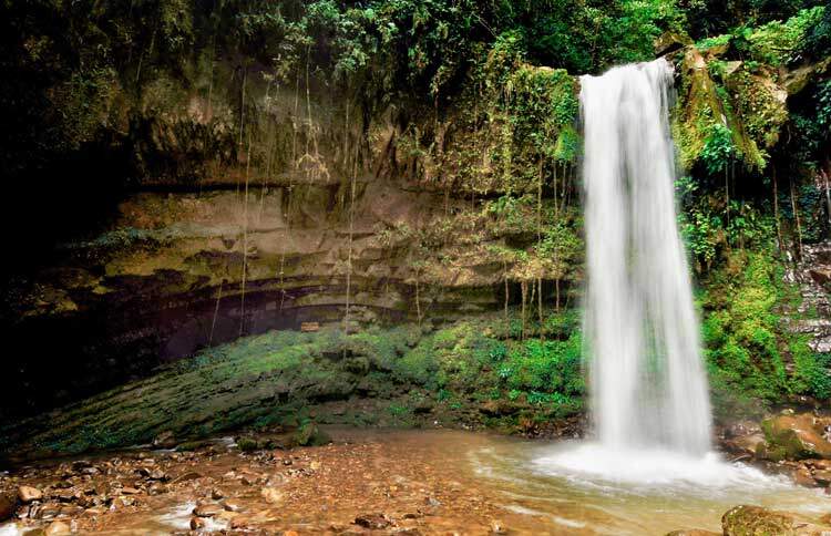 Alam Semulajadi di Air Terjun Mahua