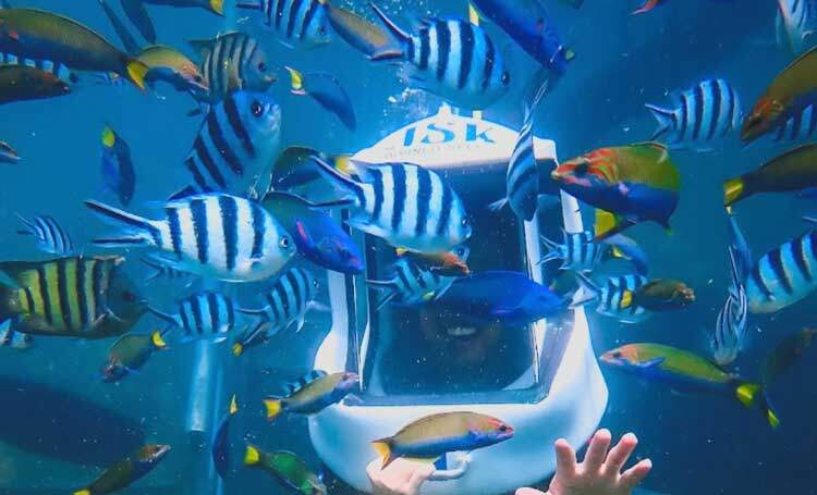 JSK-Borneo-Reef-Sea-World-2