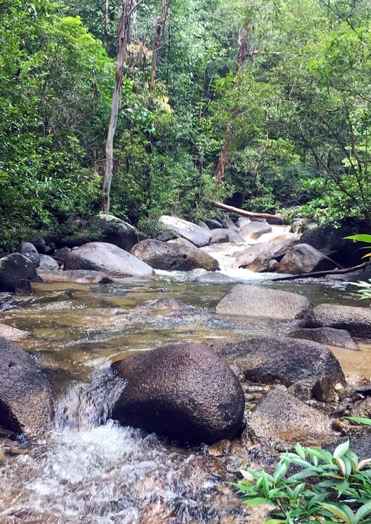 Gunung-Tebu-Sukrie-Saliman