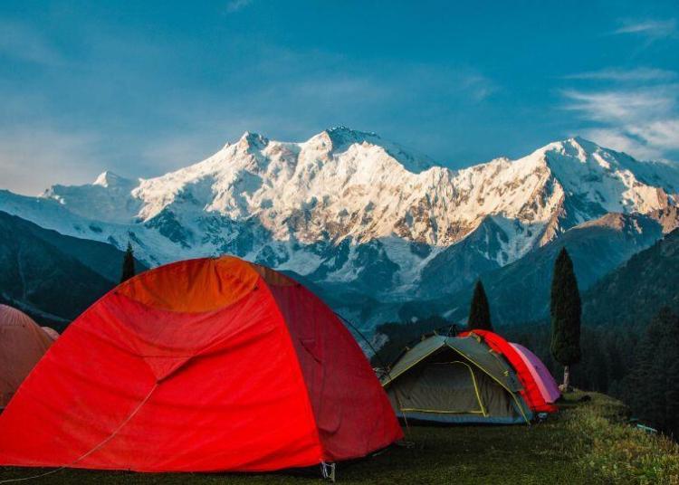 Fairy-Meadows