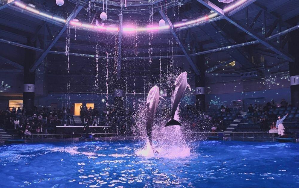 Maxell-Aqua-Park-Shinagawa-Ryo-Fujita.jpg