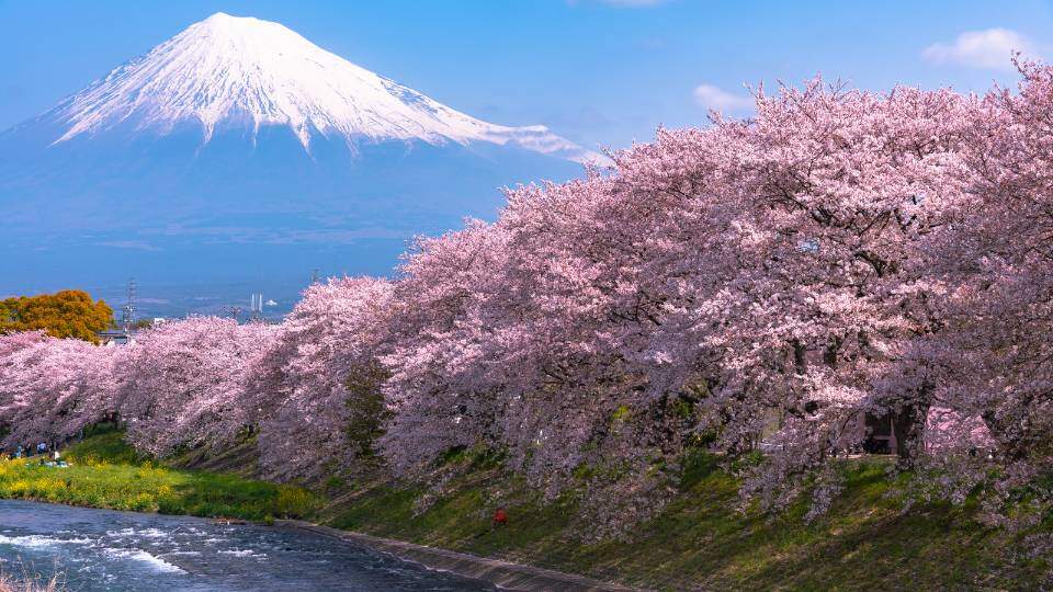Mount-Fuji