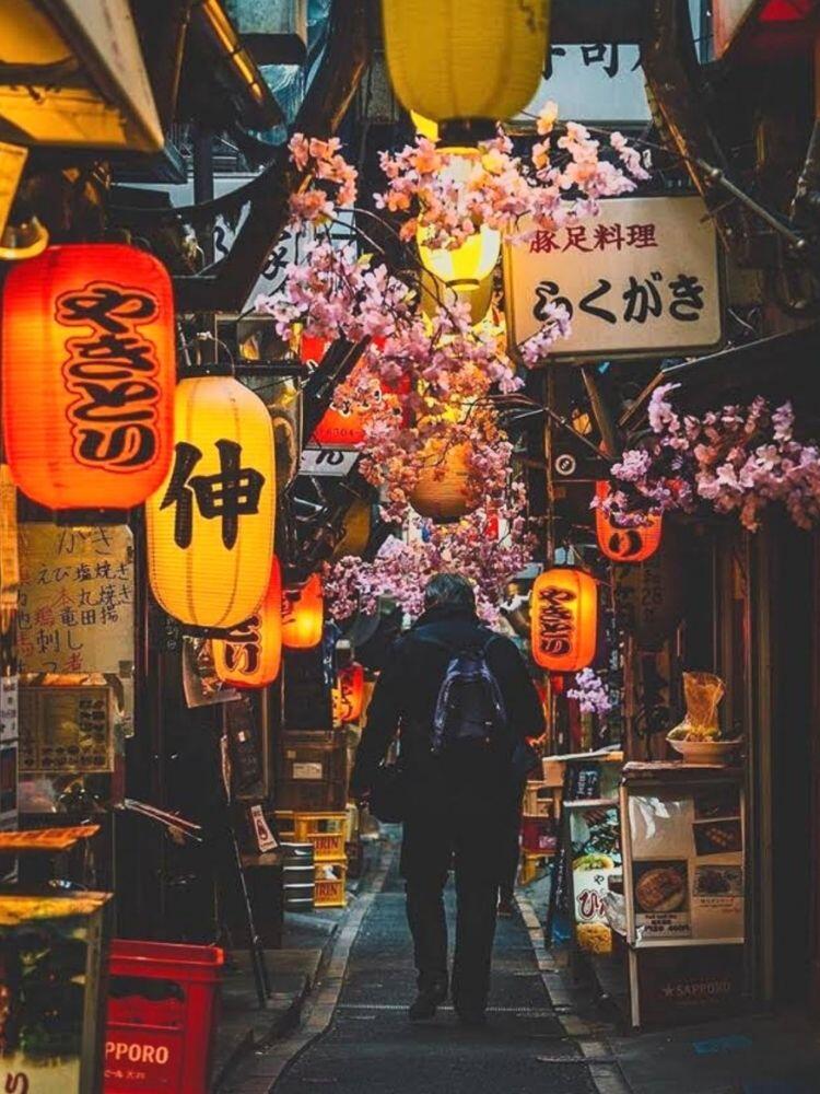 Omoide-Yokocho-Memory-Lane-Hieu-Loki