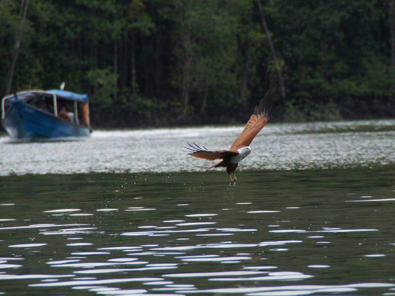 Sertai Aktiviti Air dan Sukan Lasak
