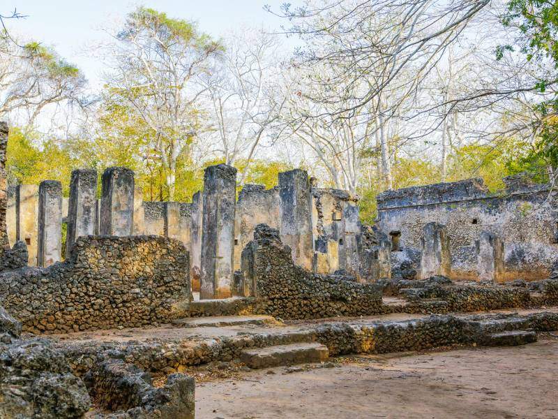 Gedi Ruins