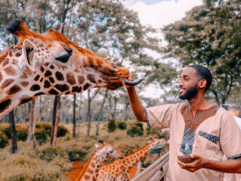 Nairobi Wildlife