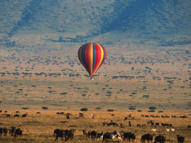 Tourist Balloon