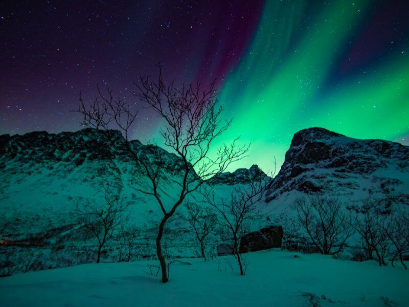 Northern lights in scandinavia