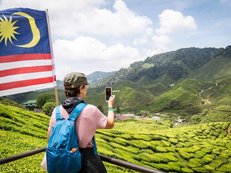 Pelancong di Cameron Higlands