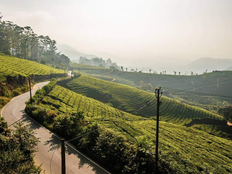 Pemandangan Indah Cameron Highlands