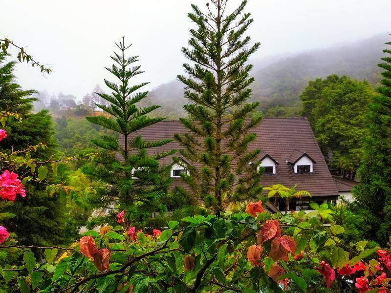 Penginapan Cameron Highlands