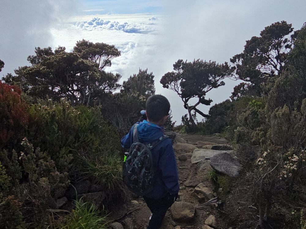 Mendaki Gunung Kinabalu