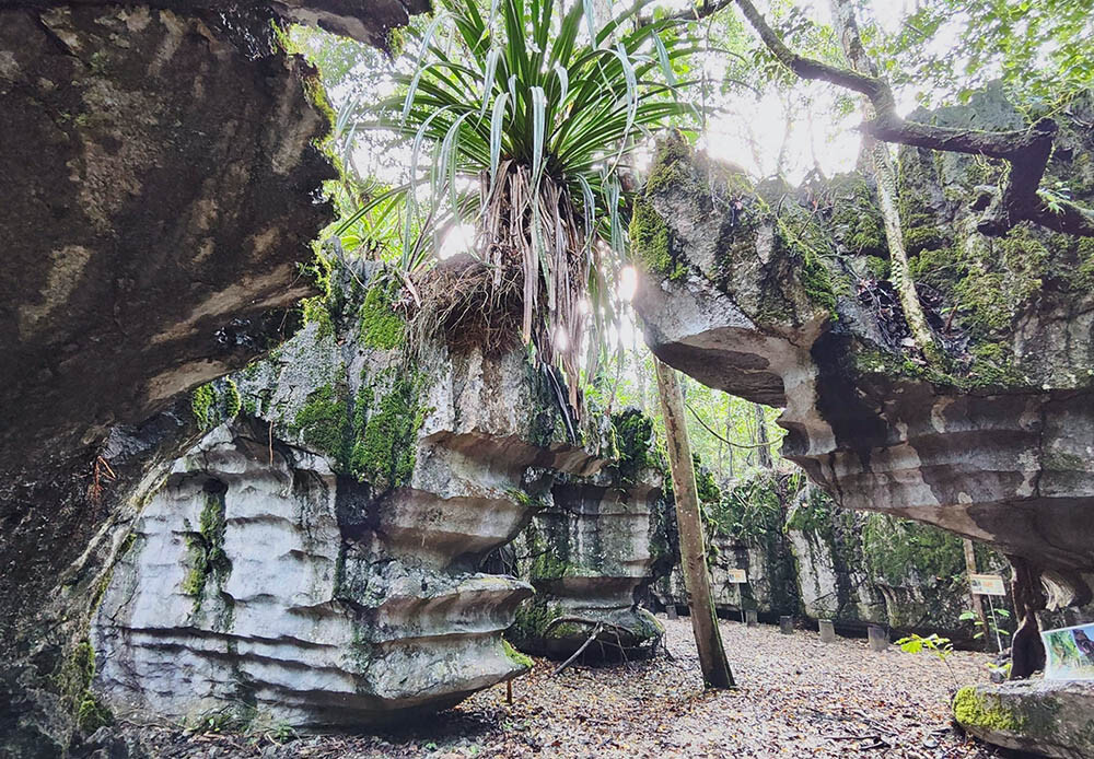 Paku Rock Maze Garden
