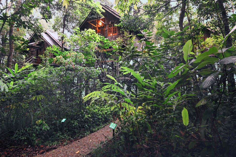 Permai Rainforest Resort