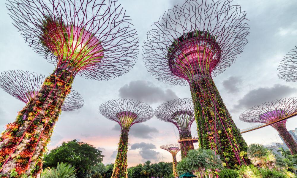 Gardens by the Bay sunset