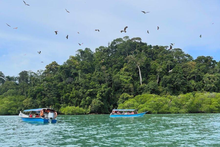 Pulau Singa Besar